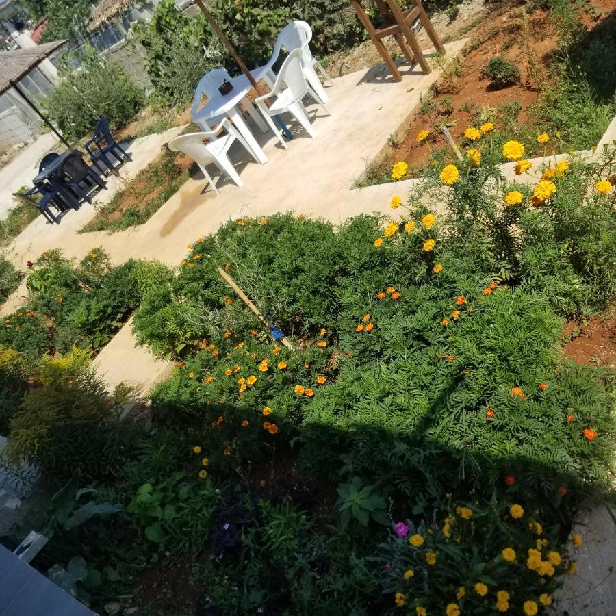 Rey Garden Villa Влёра Экстерьер фото